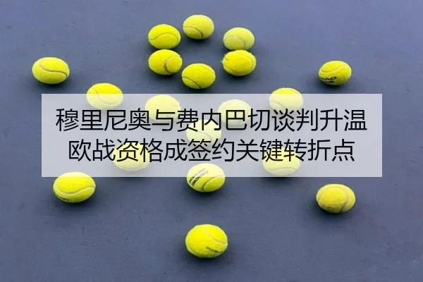 穆里尼奥与费内巴切谈判升温 欧战资格成签约关键转折点