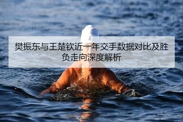 樊振东与王楚钦近一年交手数据对比及胜负走向深度解析